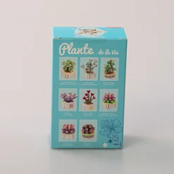 Hot MINISO Costruzione - Pianta Grassa