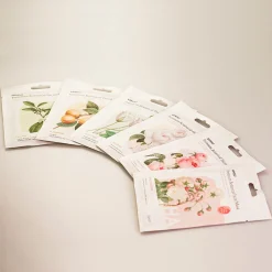 MINISO Premium Botanica Facial Mask - Caring