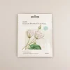 Hot MINISO Premium Botanica Facial Mask - Purifying