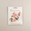 Outlet MINISO Premium Botanica Facial Mask - Smoothing