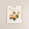 Hot MINISO Premium Botanica Facial Mask - Plumping
